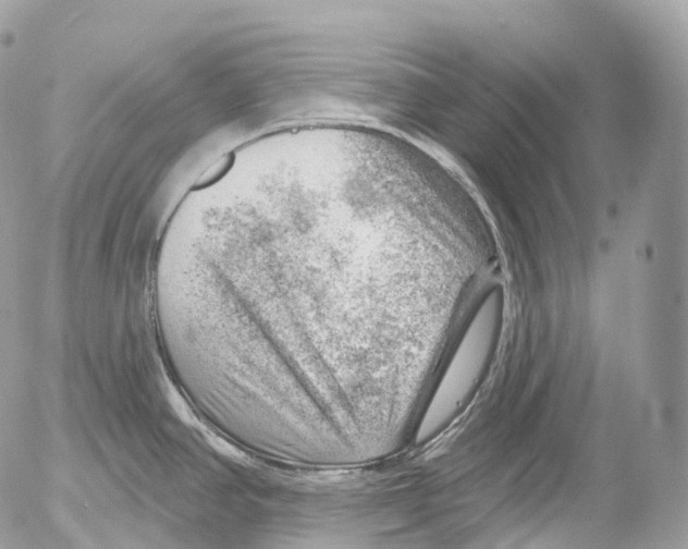 X0000052641390200507292254