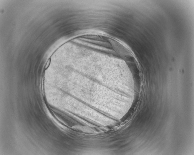 X0000052641391200507292254