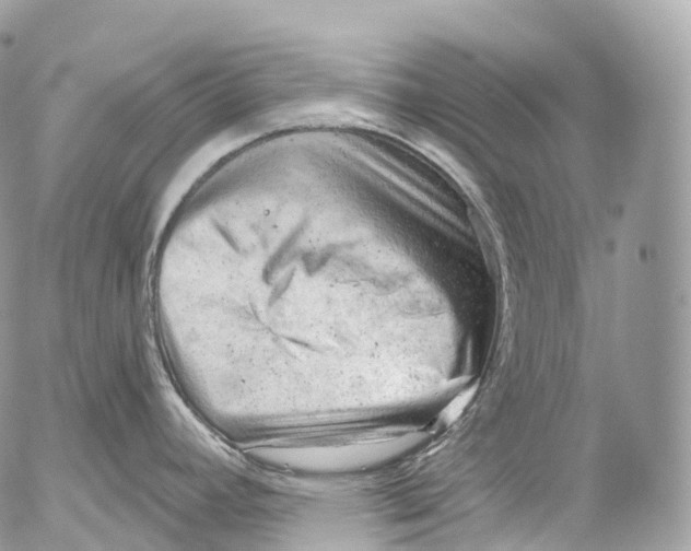 X0000052641392200507292254