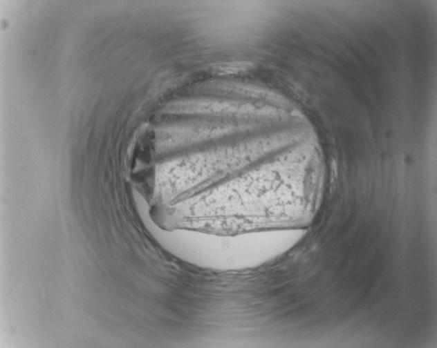 X0000052641393200507292253