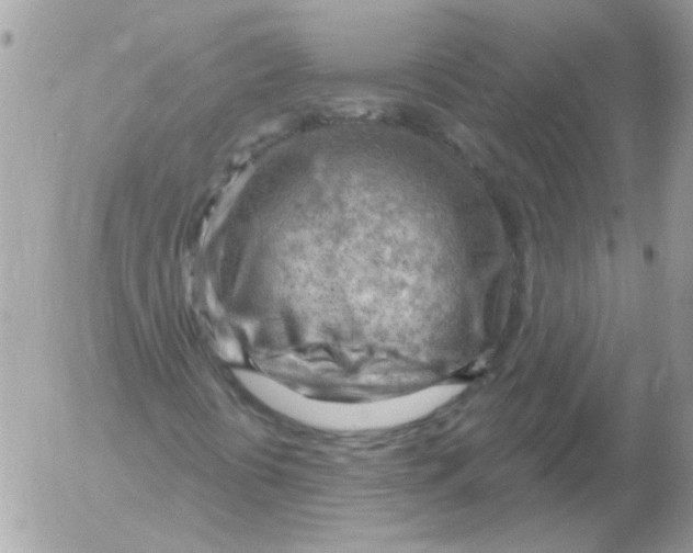 X0000052641394200507292253