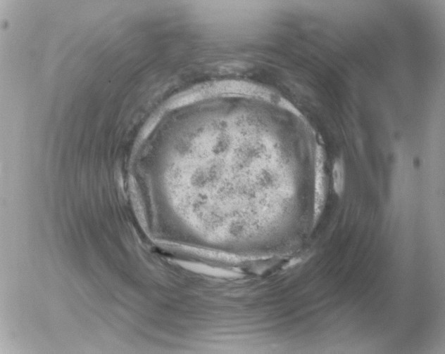 X0000052641395200507292253