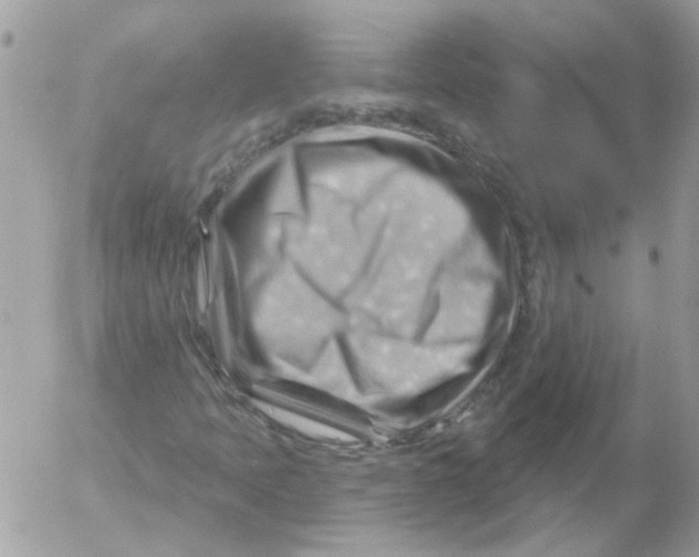 X0000052641397200507292253