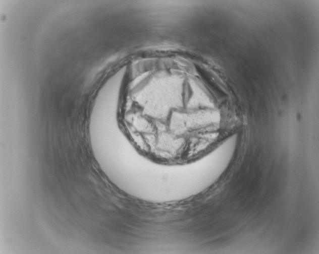 X0000052641398200507292253