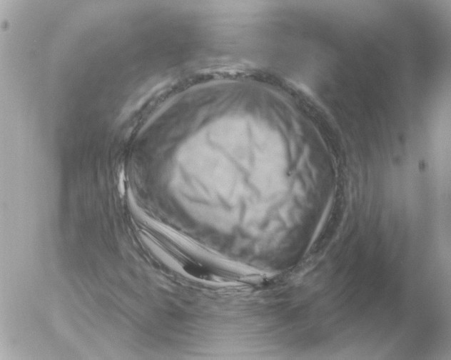 X0000052641399200507292253