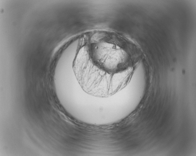 X0000052641400200507292253