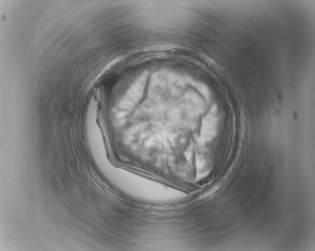 X0000052641401200507292253