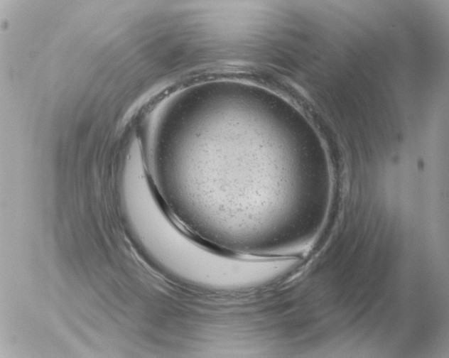 X0000052641402200507292253