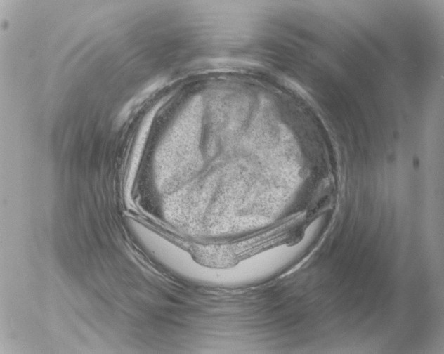 X0000052641403200507292253