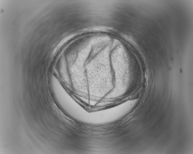 X0000052641404200507292253