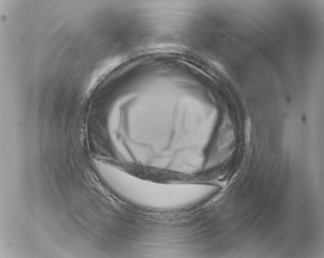 X0000052641405200507292253