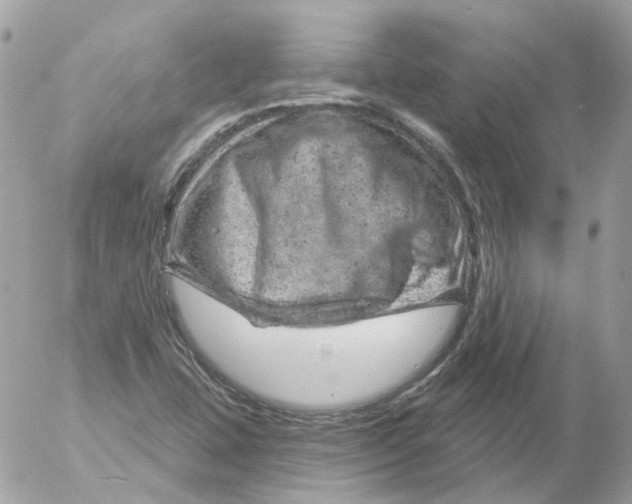 X0000052641407200507292253