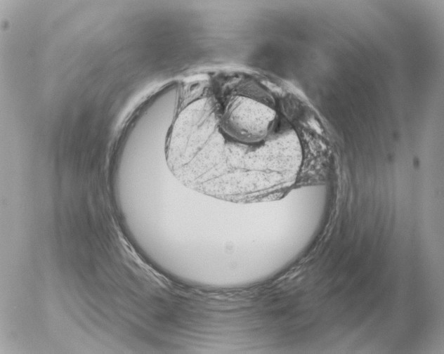 X0000052641408200507292253