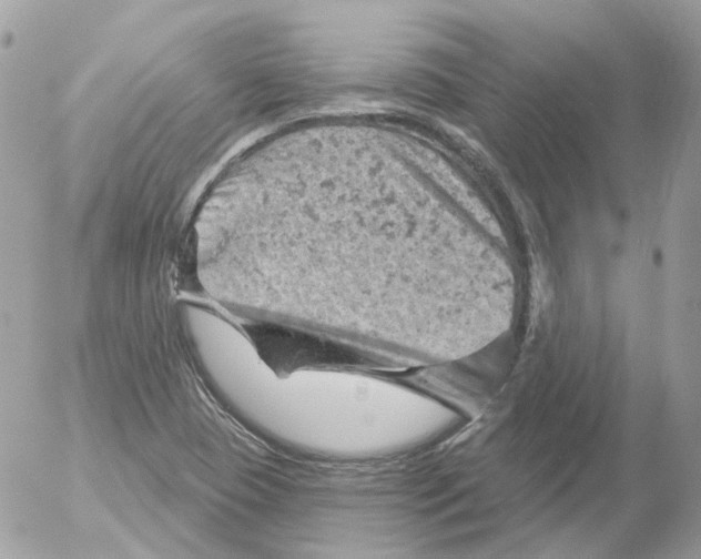 X0000052641409200507292253