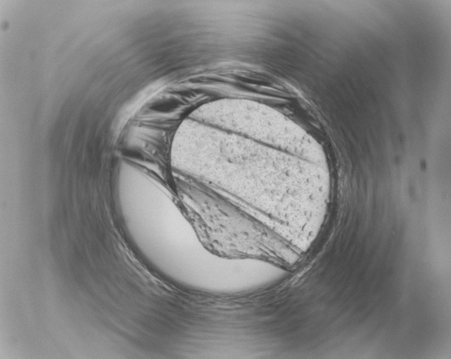 X0000052641410200507292253