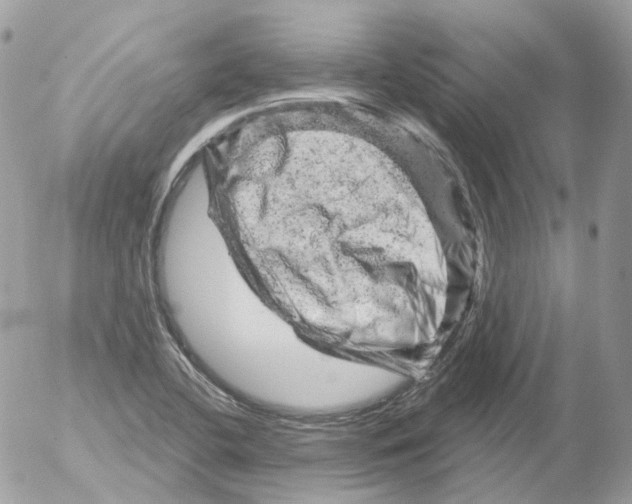 X0000052641412200507292253