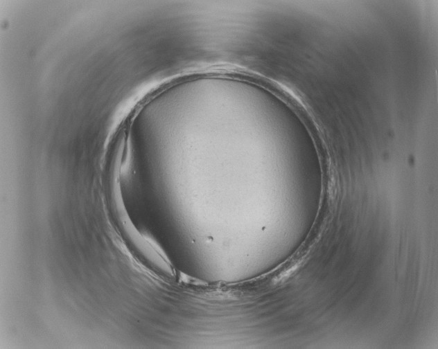 X0000052641414200507292254