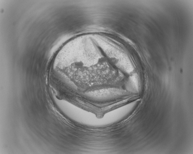 X0000052641415200507292254