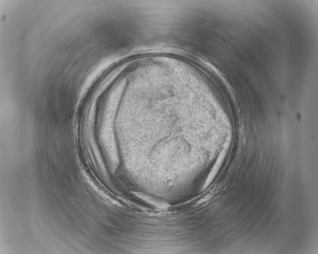 X0000052641416200507292254