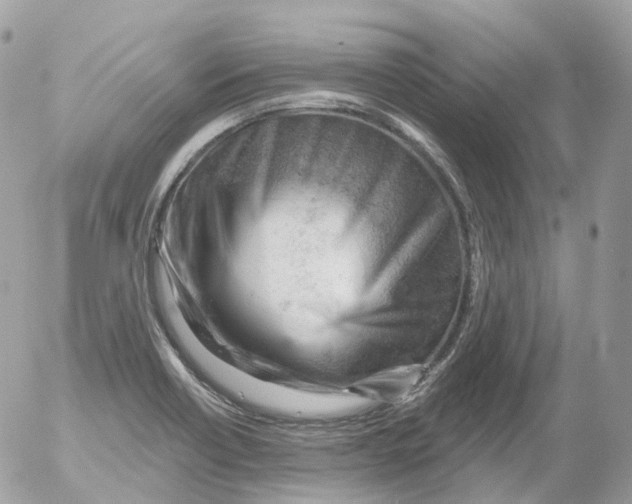 X0000052641418200507292254