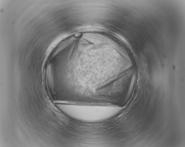 X0000052641419200507292254