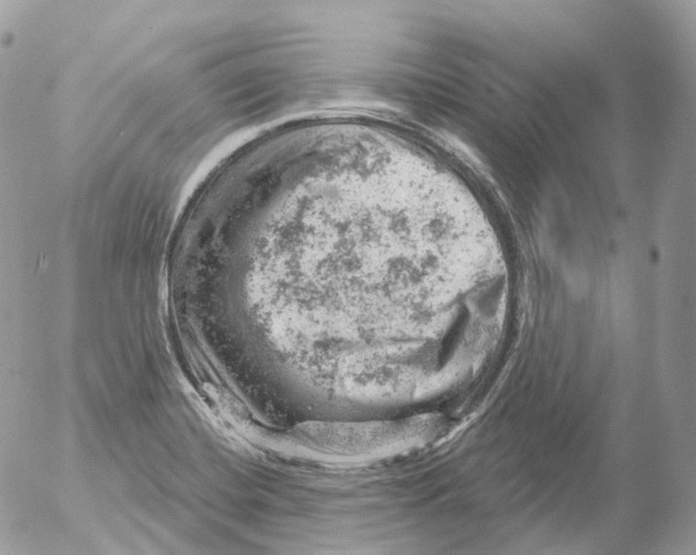 X0000052641420200507292254