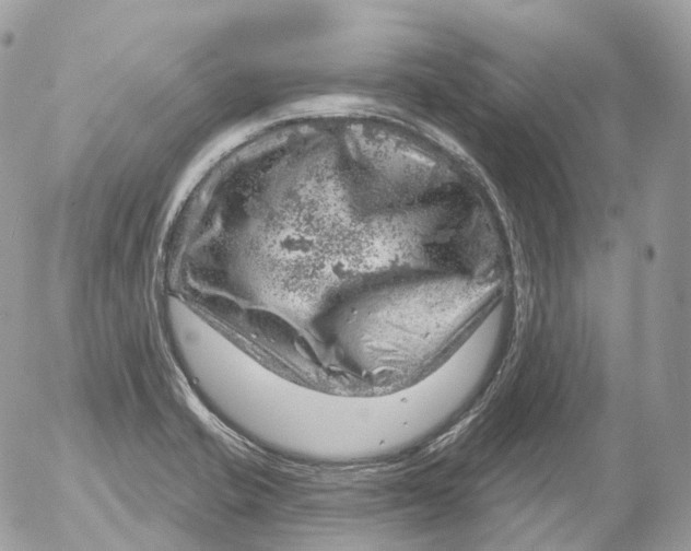 X0000052641421200507292254