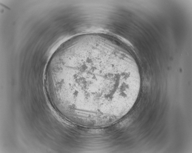 X0000052641423200507292254