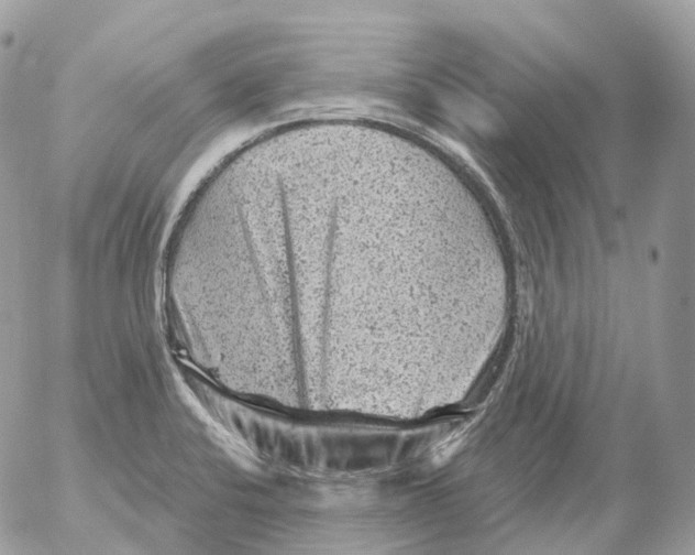 X0000052641424200507292254