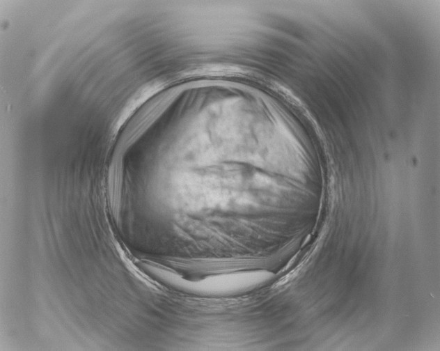 X0000052641425200507292254