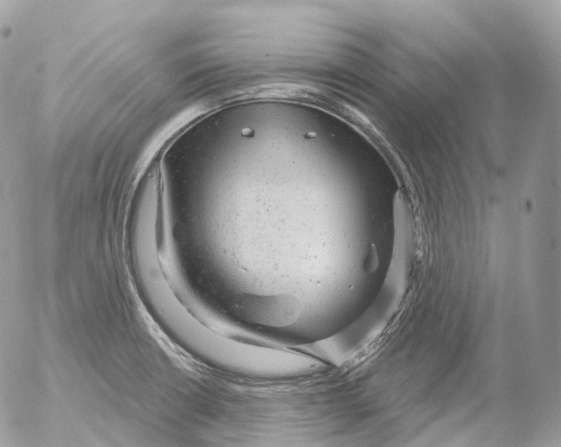 X0000052641426200507292254