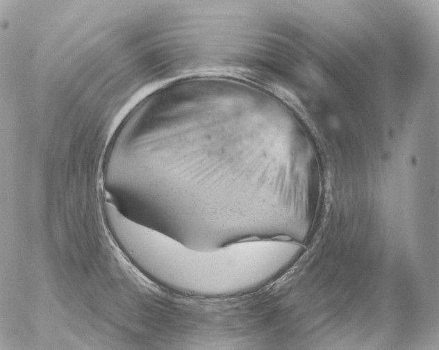 X0000052641428200507292254