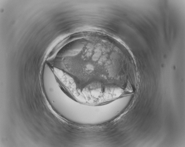 X0000052641429200507292254