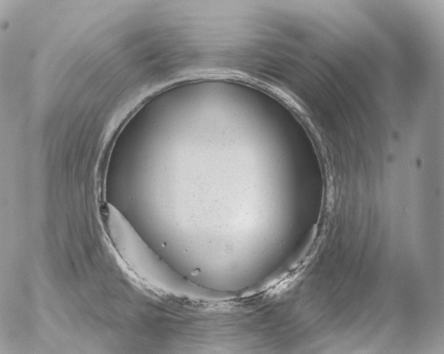 X0000052641430200507292254