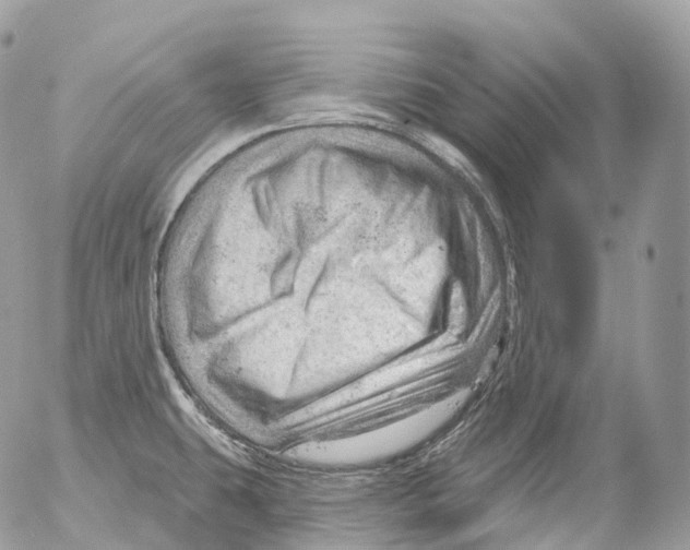 X0000052641431200507292254