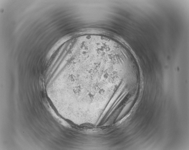 X0000052641433200507292254