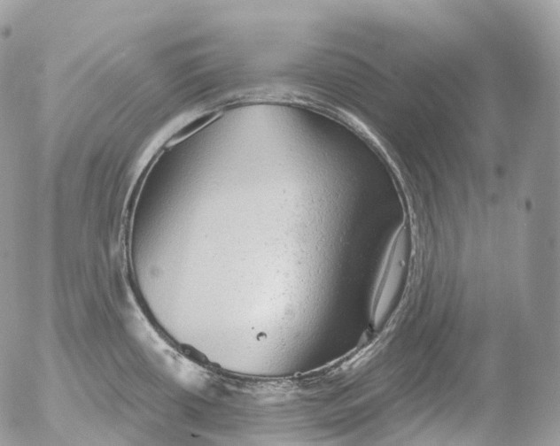 X0000052641434200507292254