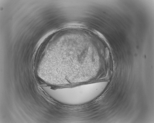 X0000052641435200507292254