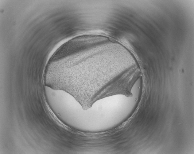 X0000052641436200507292254