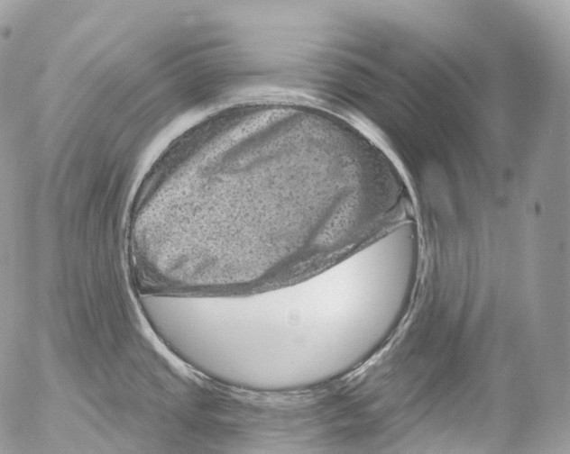 X0000052641437200507292254