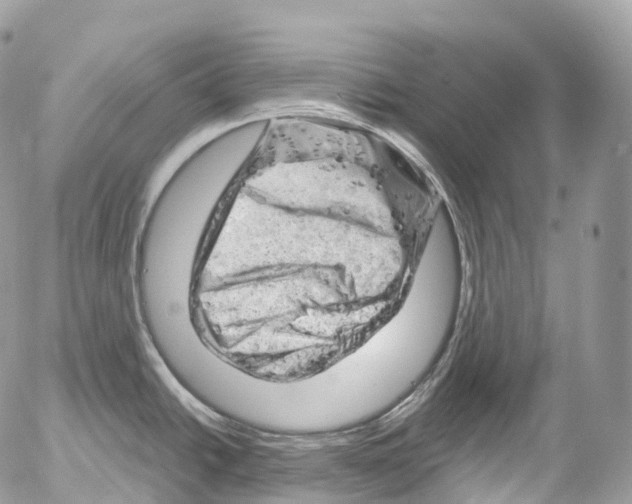 X0000052641438200507292254