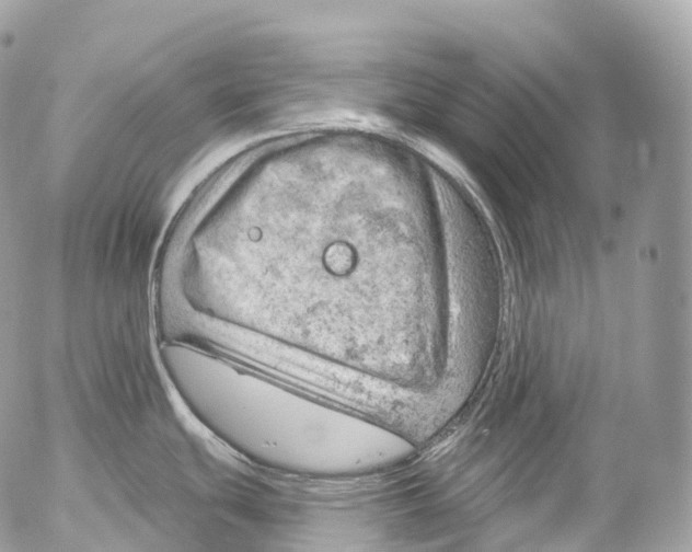 X0000052641439200507292254