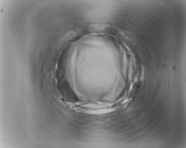 X0000052641441200507292253