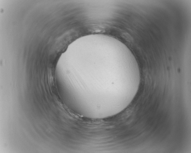 X0000052641442200507292253