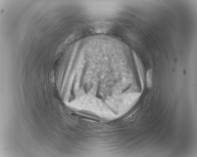 X0000052641443200507292253