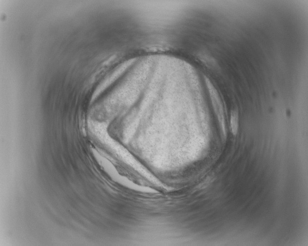 X0000052641444200507292253