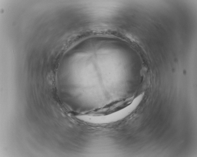 X0000052641445200507292253