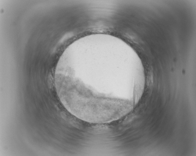 X0000052641446200507292253