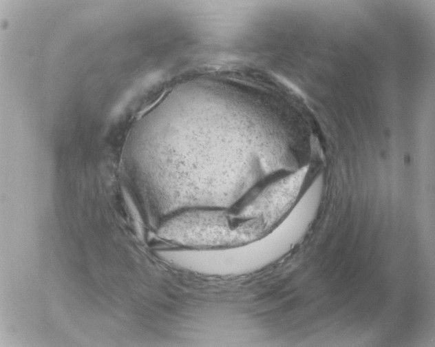 X0000052641447200507292253