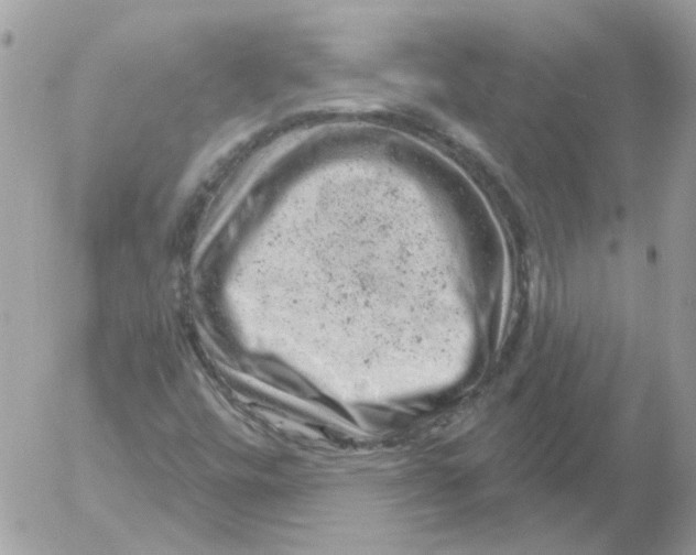 X0000052641448200507292253